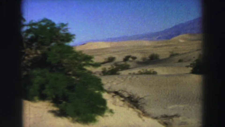 Foreground greenery passes close to the lens as the 8mm camera looks across sand, brush, and distant mountains.