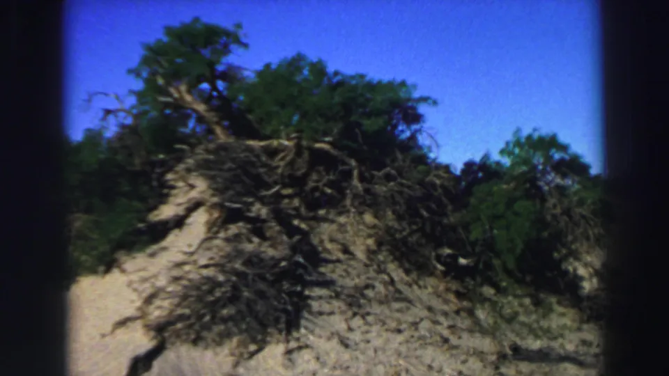 A sandy slope with exposed roots, shrubs, and trees appears in the Lake Tahoe home-movie footage.