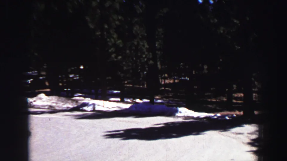 Lake Tahoe campground road with dense pine trees, strong shadows, and lingering snow patches along the roadside.