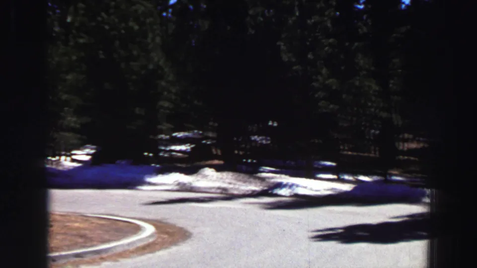 A curving road in the Lake Tahoe campground area passes through tall pines with snow remaining at the roadside.