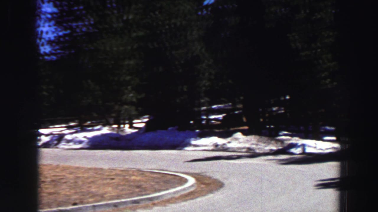Curving mountain road beside evergreen trees and melting snow patches.