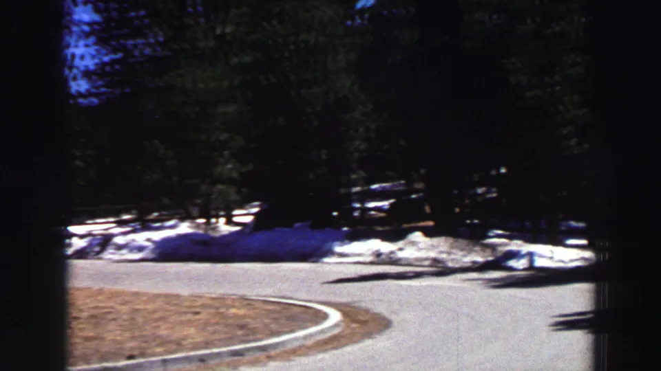 1969 Lake Tahoe road scene with evergreen trees, snowbanks, and bright sun in deep forest shadow.