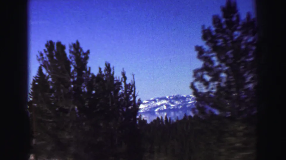 A moving 8mm view of Lake Tahoe-area pines with snow-capped mountains behind them beneath a clear blue sky.