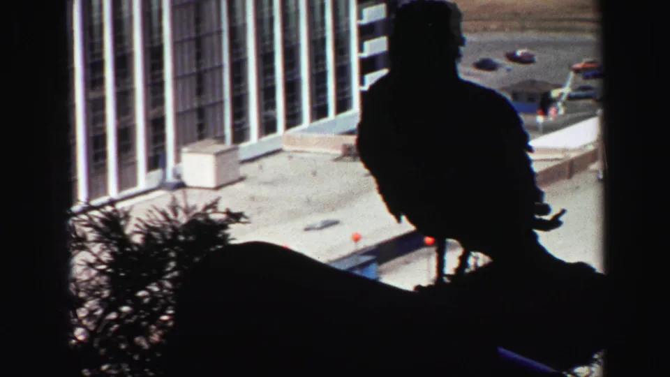 Home-movie frame of a seated silhouetted passenger near a window, with a tall building facade, pavement, and cars visible outside.