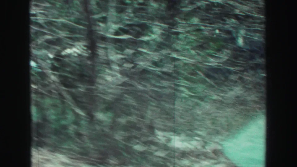 Lake Tahoe tunnel-side scenery in 1969 8mm footage, with blurred trees and stone surfaces passing the vehicle.