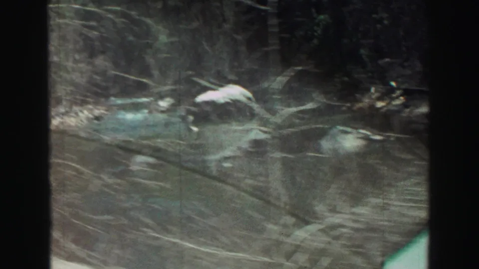 1969 8mm home-movie frame showing a blurred wooded stream or wet roadside area before the driving sequence.
