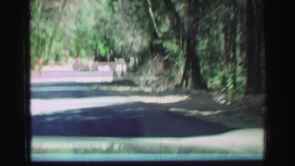 Car-mounted or passenger-view 8mm frame of a paved road passing through wooded California scenery.