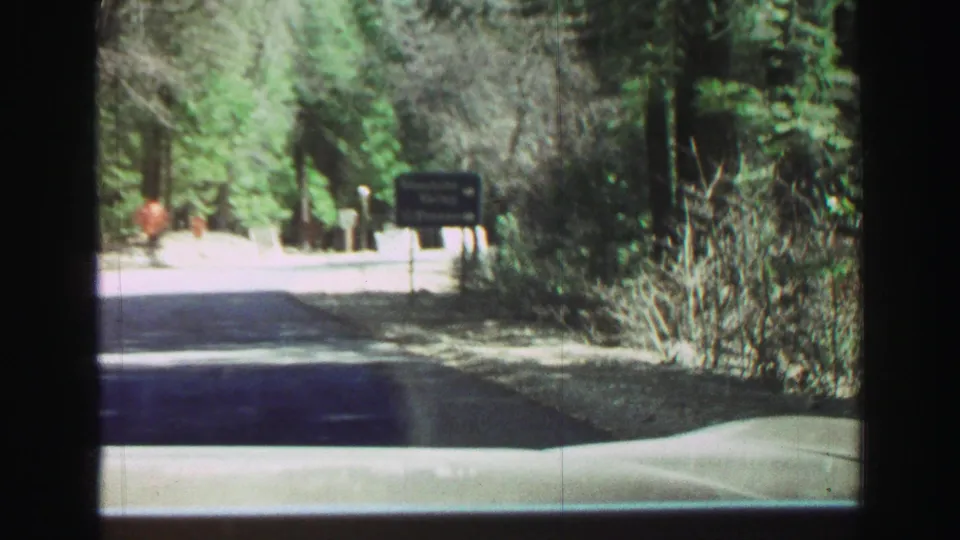 1969 travel footage frame showing a wooded road with a roadside sign visible ahead from the car viewpoint.