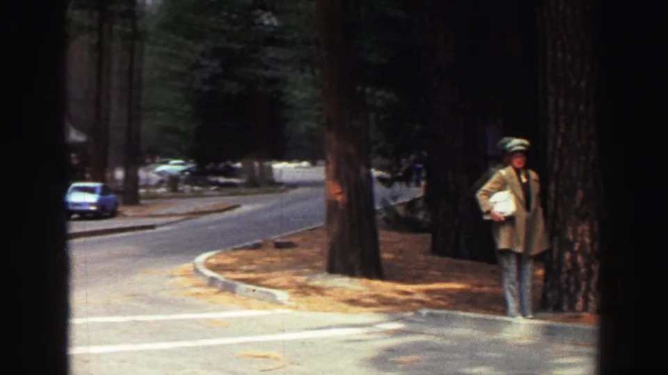 A man in casual travel clothing stands near large pine trunks by a Lake Tahoe roadside, with cars visible in the distance.