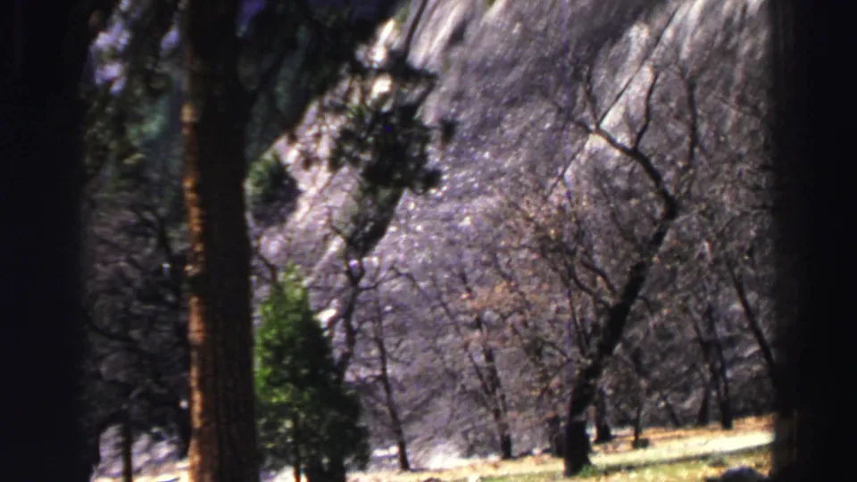 Lake Tahoe 8mm frame showing a steep granite face beyond pine trunks, bare branches, and a bright forest floor.