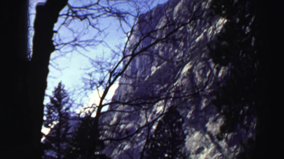1969 Lake Tahoe 8mm frame showing a dark foreground trunk, bare branches, pines and a sunlit granite wall.