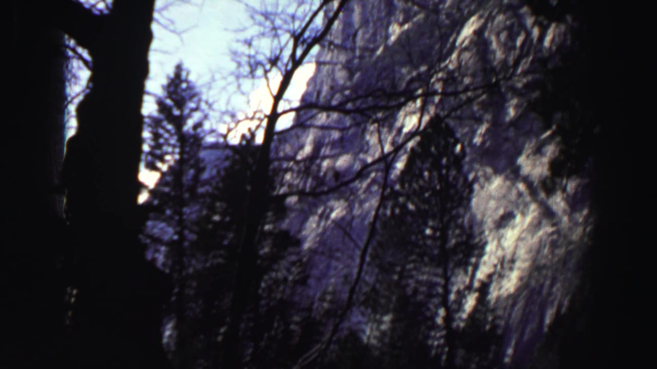 1969 Lake Tahoe home-movie frame with dark trees and branches silhouetted against a sunlit granite rock face.