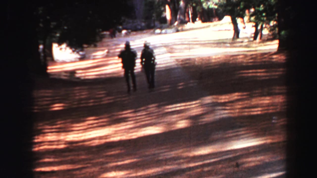 Two adults walk away on a shaded forest path with trees and long shadows.