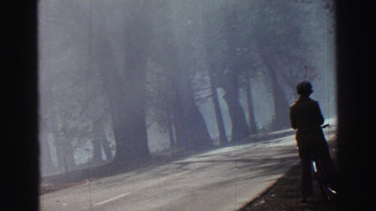 Misty tree-lined road with a person standing beside a bicycle.
