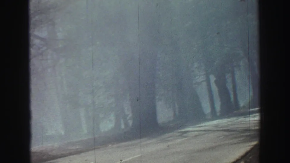 Soft 8mm frame of a misty Lake Tahoe forest road with trees fading into haze and shadows across the pavement.