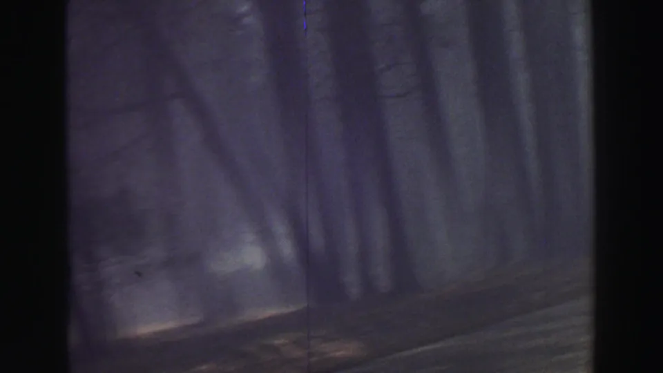 Dim final 1969 Lake Tahoe frame showing a misty wooded roadside, dark tree forms, and visible 8mm texture.