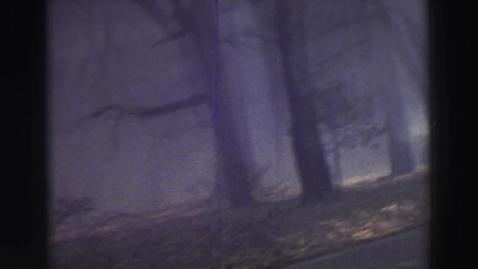 1969 8mm Lake Tahoe home-movie frame showing a dim foggy woodland with bare trees and a soft, purple-blue cast.