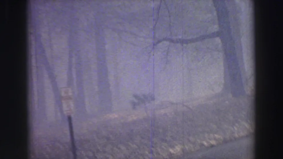 A small roadside sign stands among misty bare trees in the Lake Tahoe 1969 8mm footage.