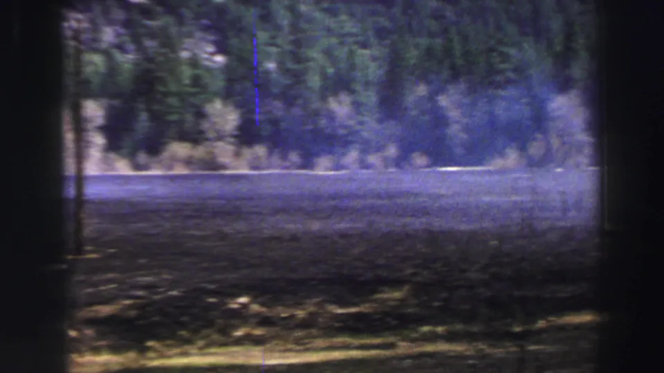 Forested Lake Tahoe shoreline or riverbank seen through mist, with soft 8mm grain and blue-purple color shift.