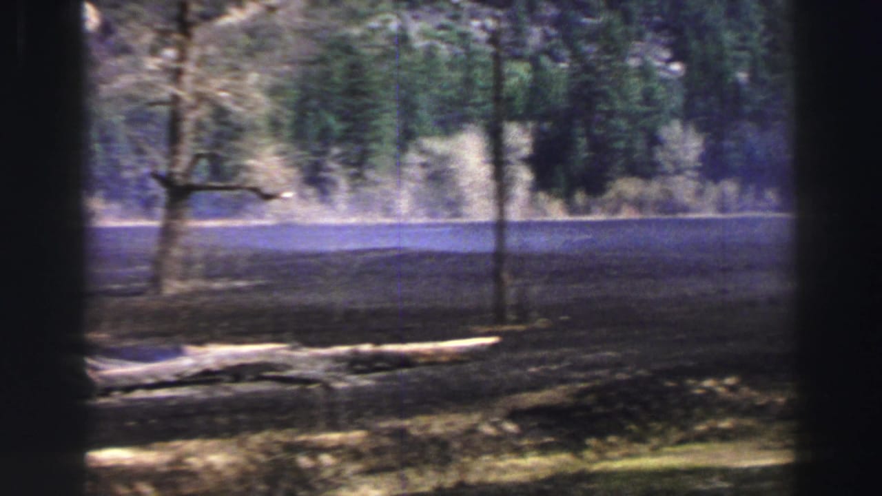 Wooded lakeshore seen through dark car-window edges from a moving road.