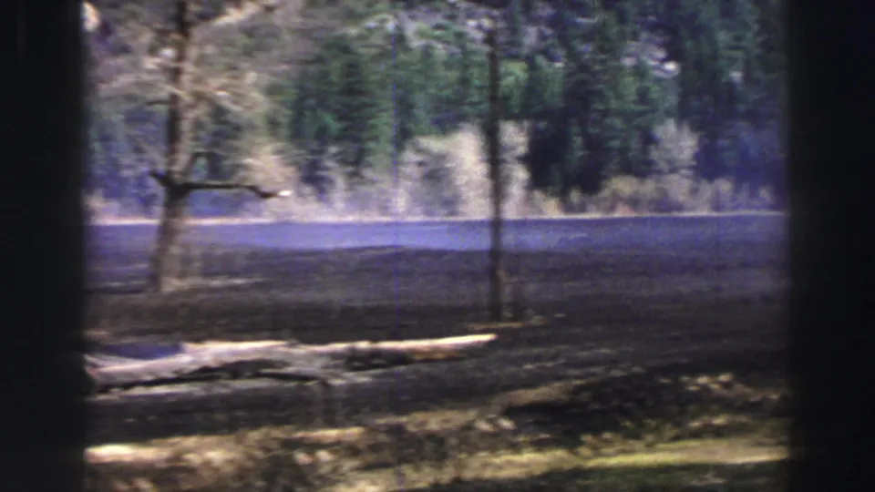 1969 Lake Tahoe home-movie frame showing trees, lake water, shoreline brush, and dark window framing from a moving car.
