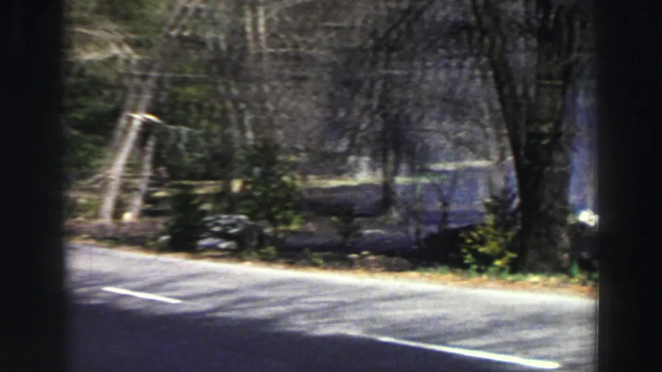 1969 Lake Tahoe frame showing a curving paved road through trees, with lakeside brush and water partly visible beyond the roadside.