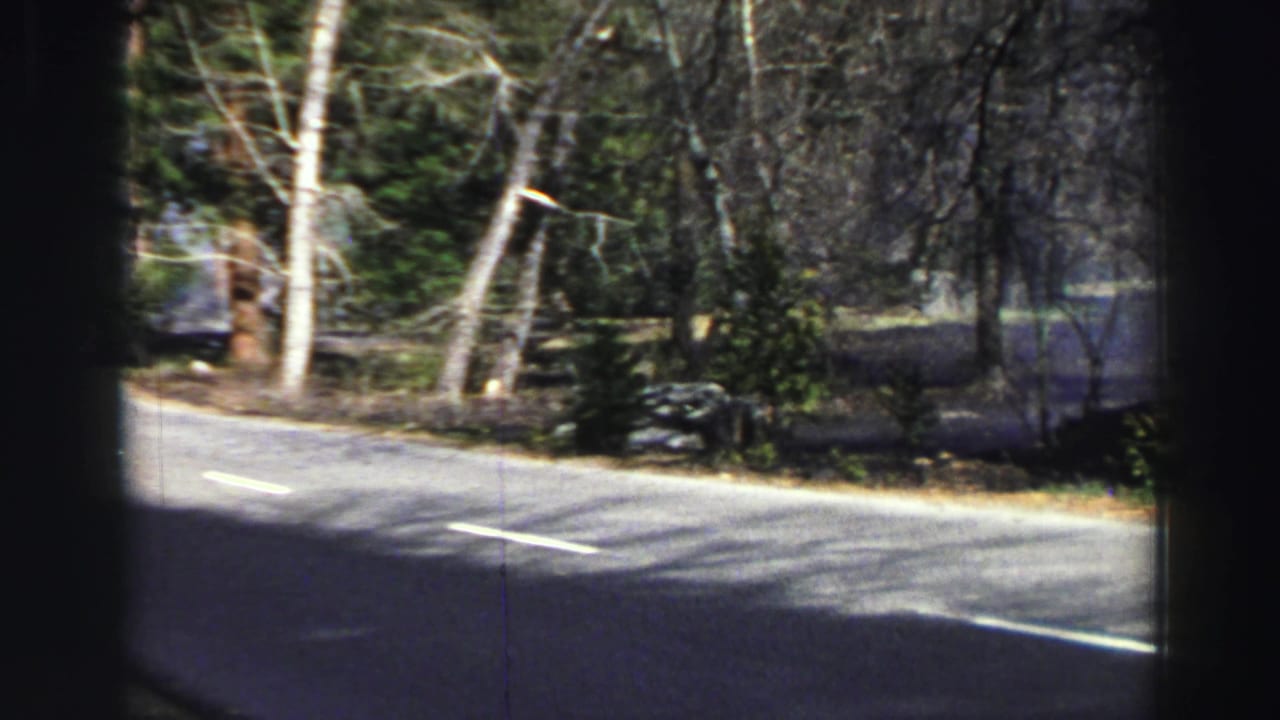 Forest road seen through a vehicle window with lane markings and trees beside the pavement.