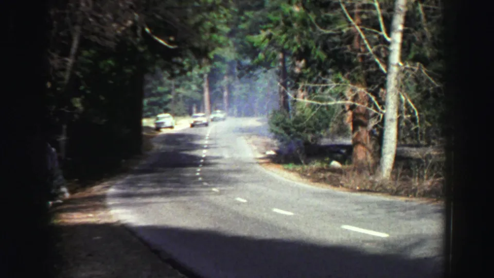 1969 Lake Tahoe-area road scene showing distant cars on a winding asphalt road through mixed forest.