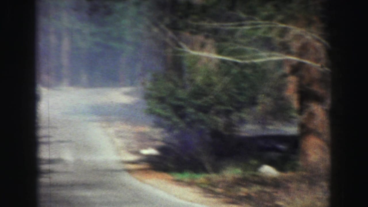 Curving forest road seen through dark film-frame edges.