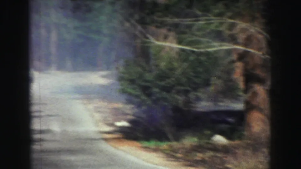 1969 Lake Tahoe home-movie frame showing a curving asphalt road bordered by tall trees and roadside brush.