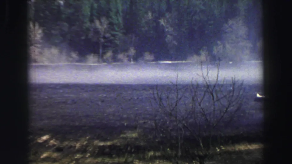 1969 Lake Tahoe home-movie frame showing a wooded roadside, low brush, and hazy light across the road surface.