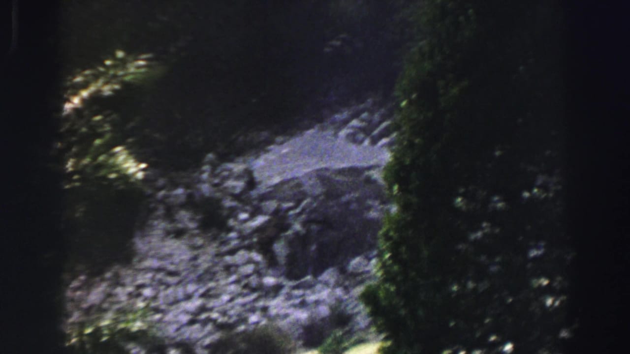 Rocky creek bed or riverbank bordered by trees in dark forest light.