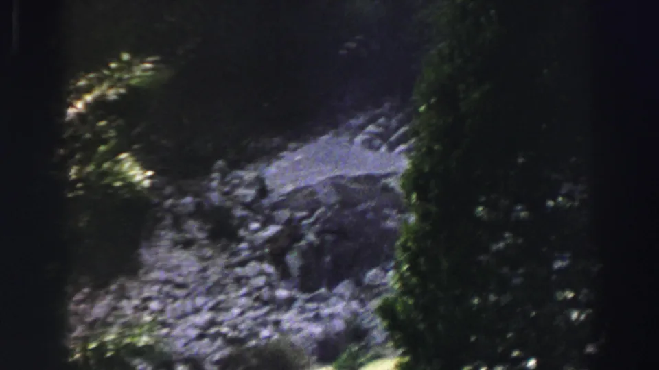 1969 Lake Tahoe 8mm frame showing a rocky creek or riverbank beside dense trees with soft focus and shadowed exposure.