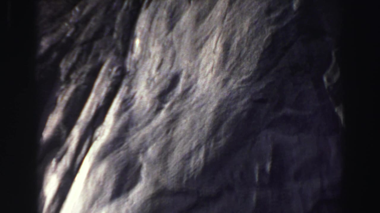 Soft, close-up 8mm frame of road or forest texture with dark gate edges.