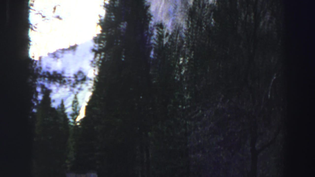 Dark pine forest and granite cliff edges under bright sky.