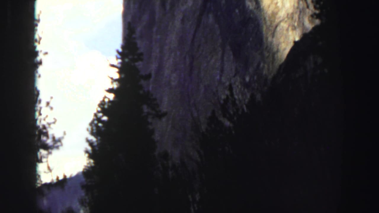 Tall cliff wall and dark conifers with bright sky between them.