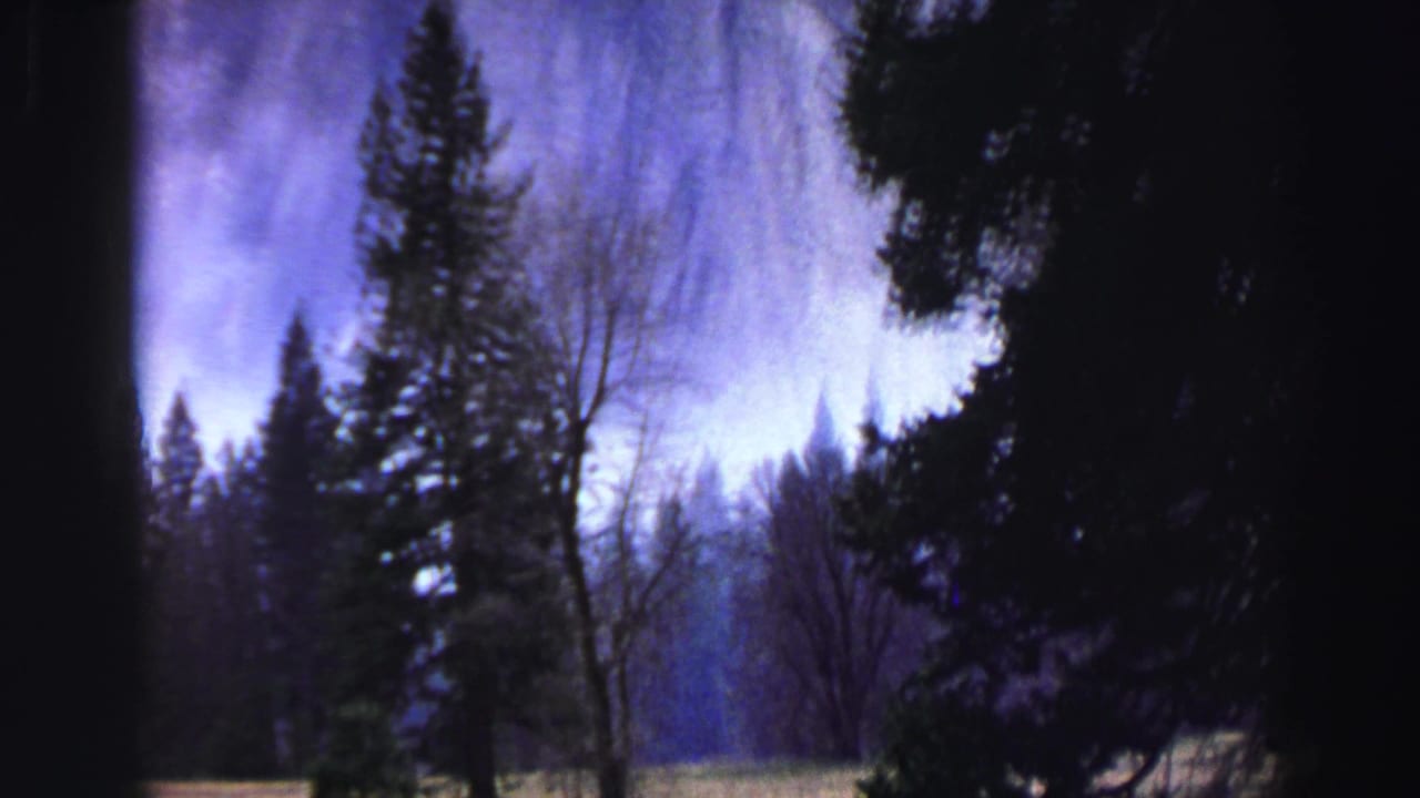 Waterfall drops behind pine trees and bare branches.