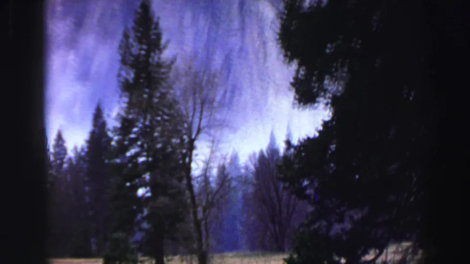 1969 Lake Tahoe 8mm frame with a pale waterfall seen through dark pines and leafless branches, with strong blue-purple cast.