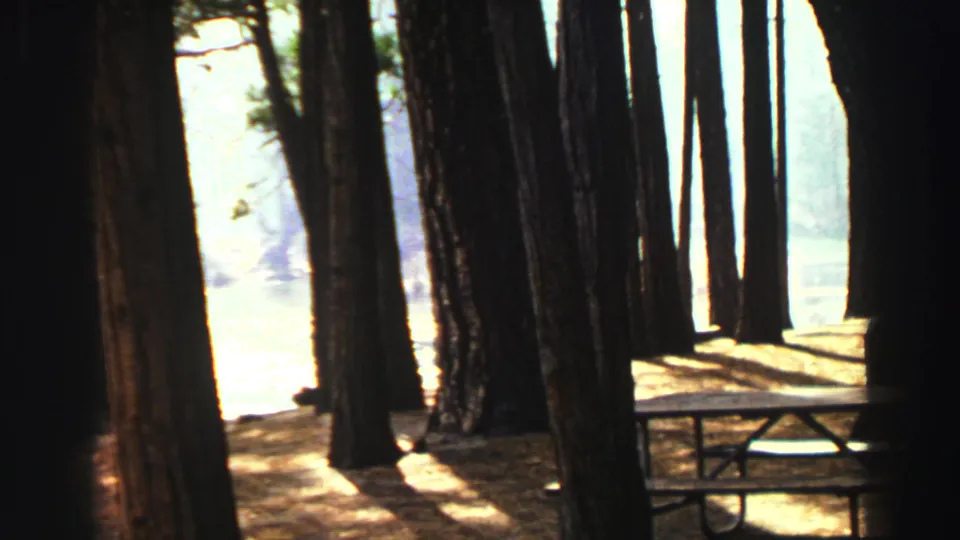 1969 Lake Tahoe-area forest scene with tall pines, bright water beyond, and a picnic table near the shore.