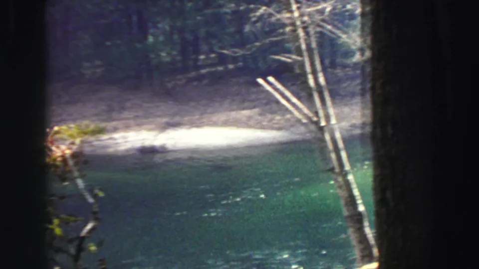 8mm frame of a green-blue stream, slender branches, shaded trunks, and bright shoreline in the Lake Tahoe woods.