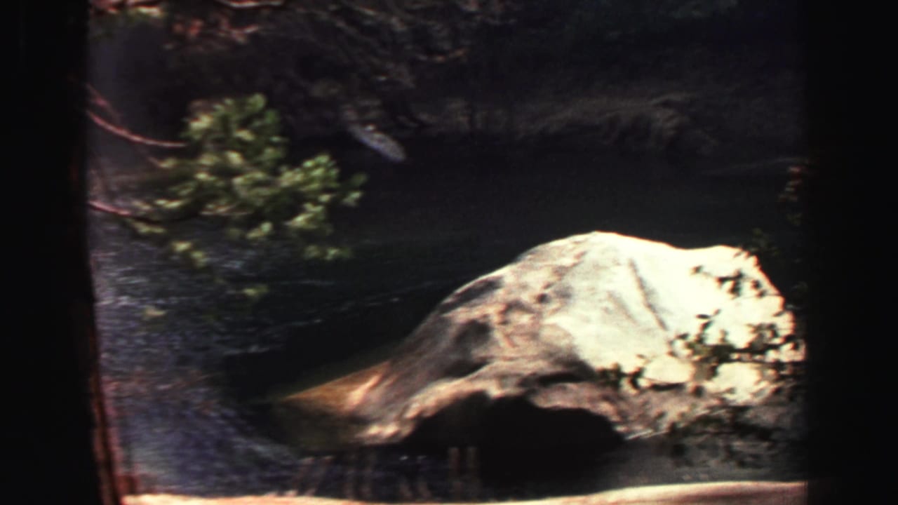Pine trunks frame blue lake water and a large pale boulder near the shoreline.