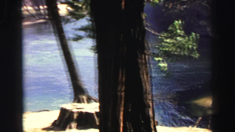 1969 Lake Tahoe shoreline view with pine trunks, a cut stump, rippled blue water, and bright sunlit ground.