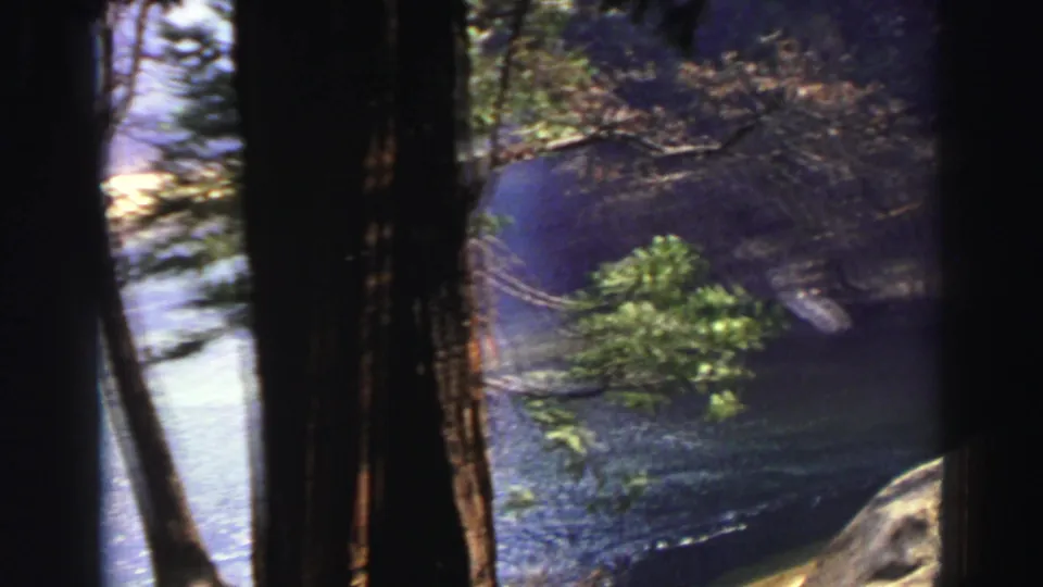 1969 Lake Tahoe view from among pines, showing blue water, evergreen branches, dark trunks, and a partial shoreline boulder.