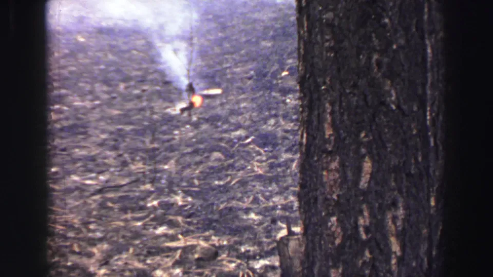 1969 Lake Tahoe 8mm frame showing a small hillside fire with white smoke rising through dark tree trunks.