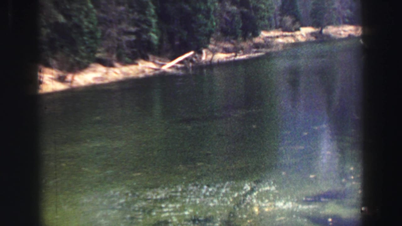 Green lake water beside a sandy, tree-lined shore with dense evergreens.