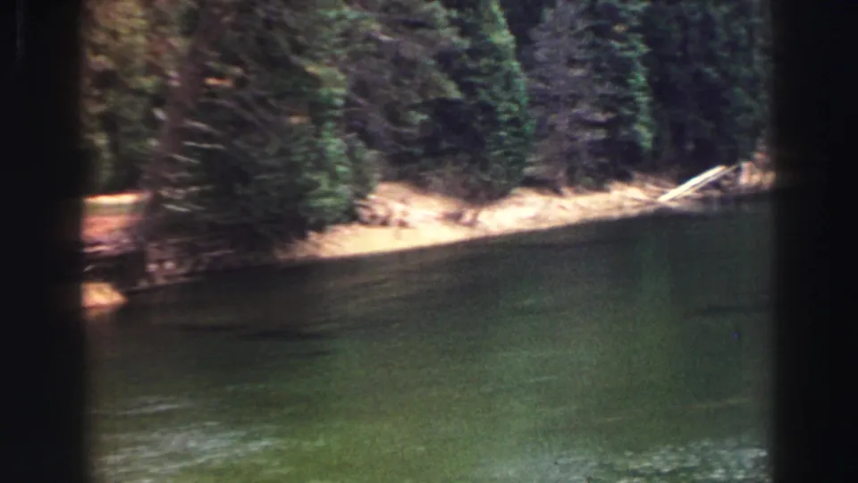 Lake Tahoe shoreline in 1969 home-movie footage, showing calm green water, evergreens, and a pale fallen branch near the bank.