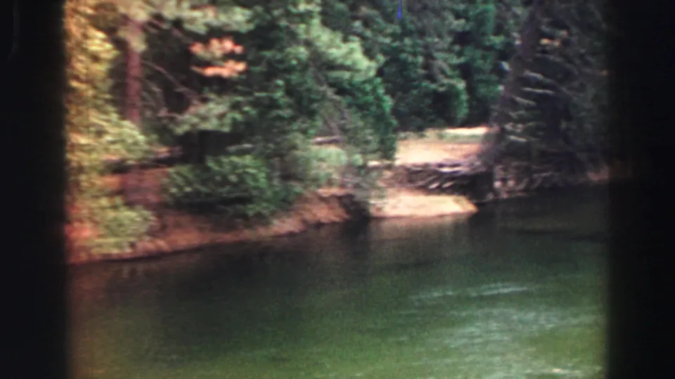 1969 Lake Tahoe 8mm frame with green water, dense shoreline trees, a sandy bank, and fallen logs in partial shade.