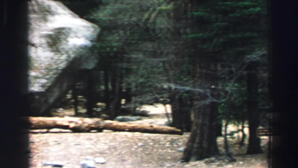 1969 Lake Tahoe frame showing a large pale boulder, evergreen trunks, scattered rocks, and a fallen log on the forest floor.