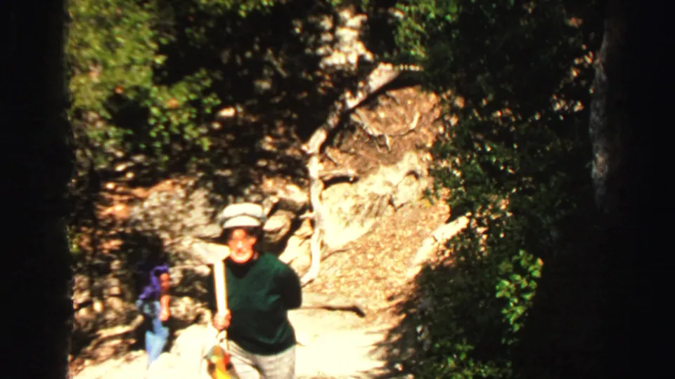 A person in a green sweater and light hat walks through a wooded Lake Tahoe path while holding a stick.
