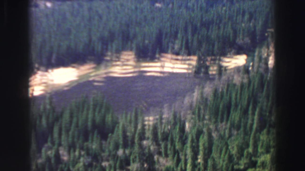 Forested valley with a pale clearing surrounded by dense trees.